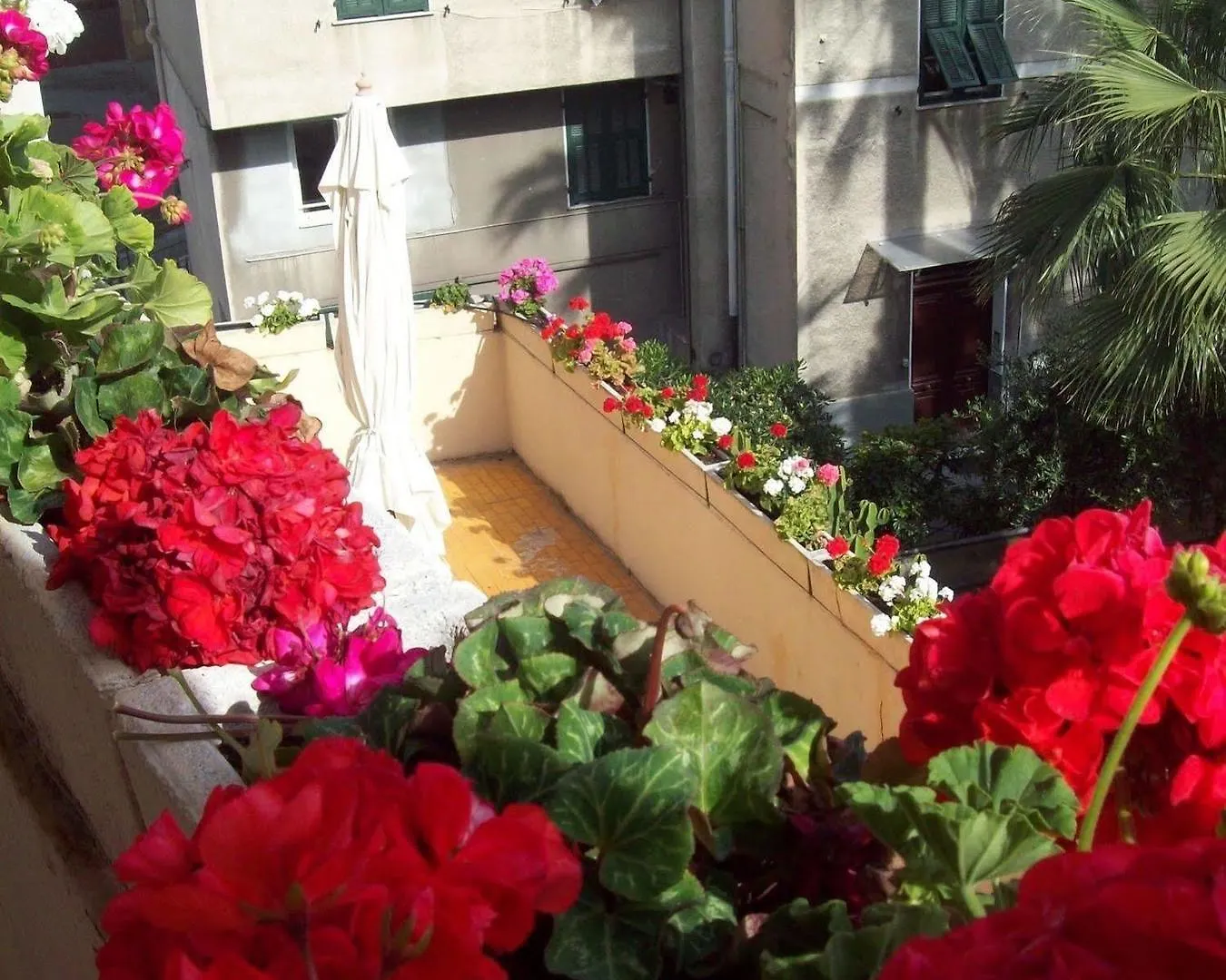 Hotel Marligure Bordighera 3*,